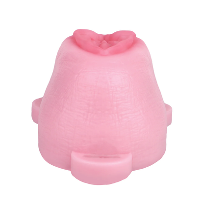 Pussy Shaped Silicone Vagina Chastity Cage Design 3