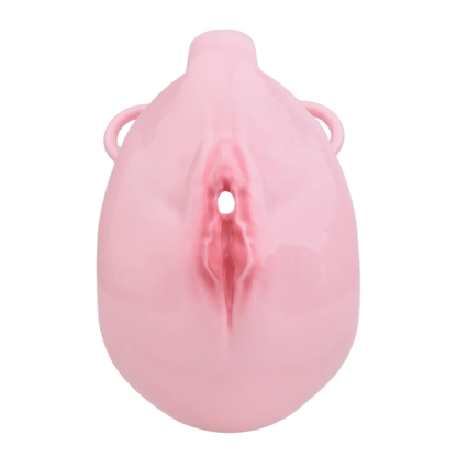 Plastic Vagina Design Chastity Cage with Butt Plug