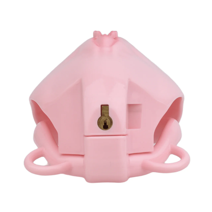 Plastic Vagina Design Chastity Cage with Butt Plug