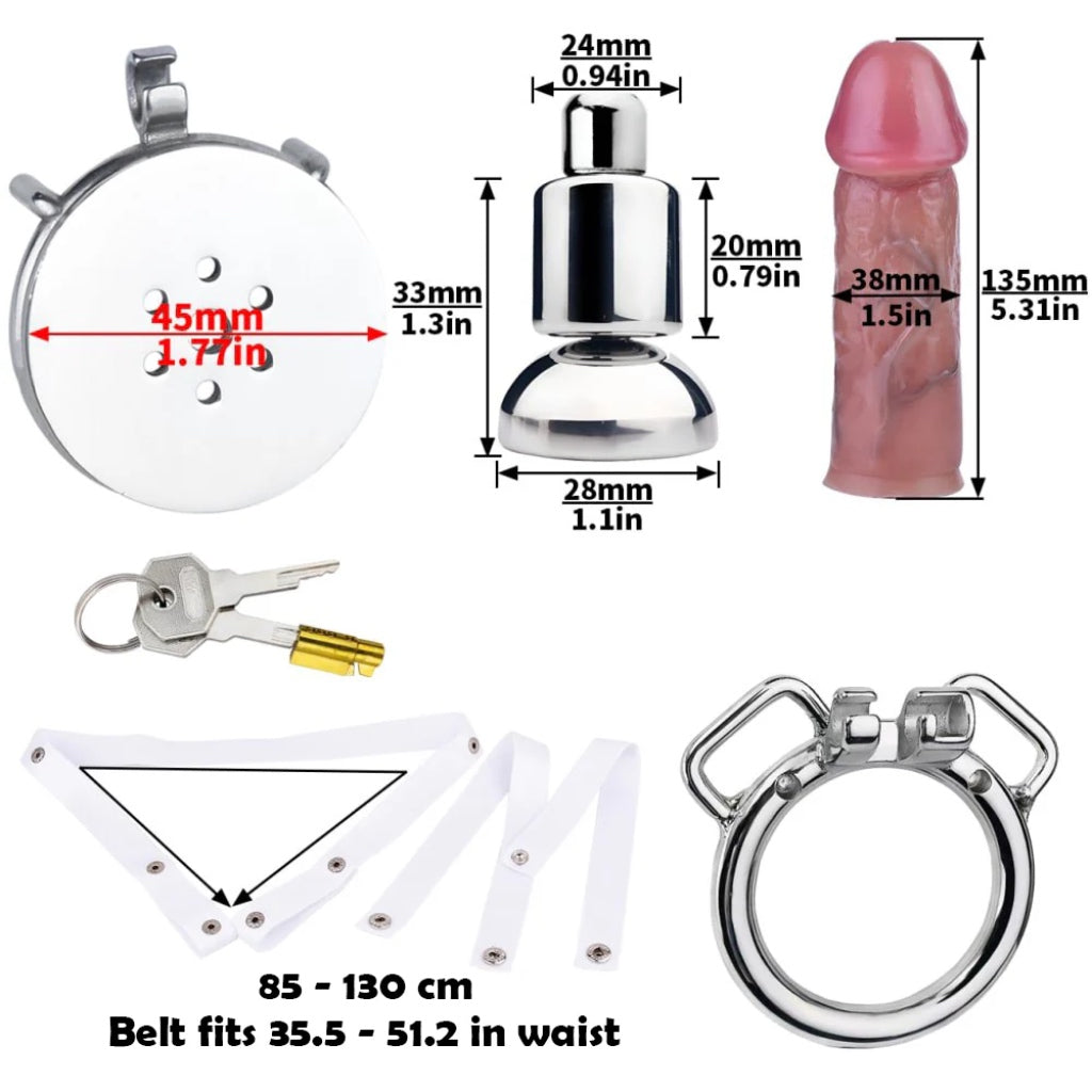 Metal Flat Chastity Cage with Dildo & Inverted Cup Accessory