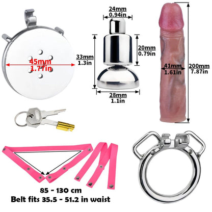 Metal Flat Chastity Cage with Dildo & Inverted Cup Accessory
