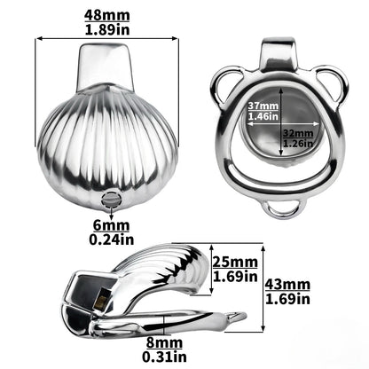 Metal Sea Shell Design Chastity Cage with Butt Plug